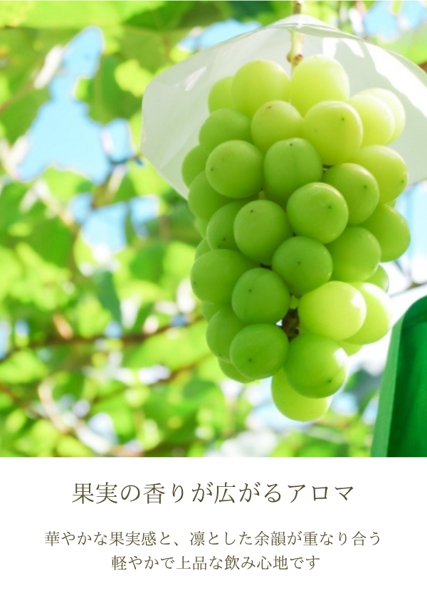 ハイディワイナリー:ShineMuscat×Koshu Still Wine 2025
