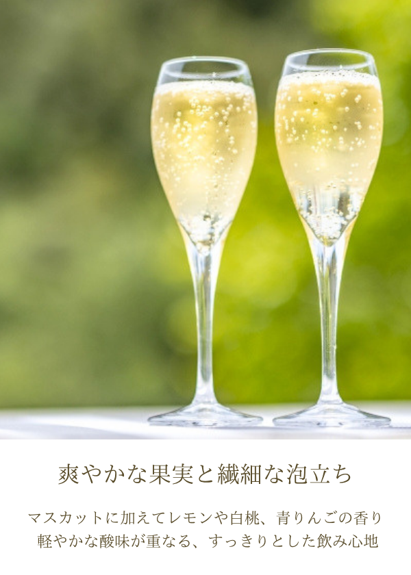 ハイディワイナリー:ShineMuscat Sparkling 2025