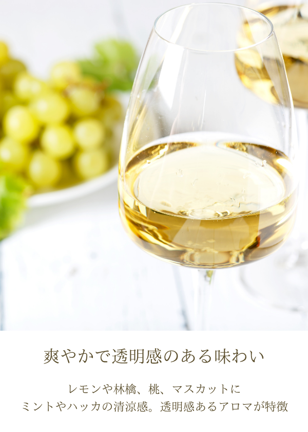 ハイディワイナリー:ShineMuscat Still Wine 2025
