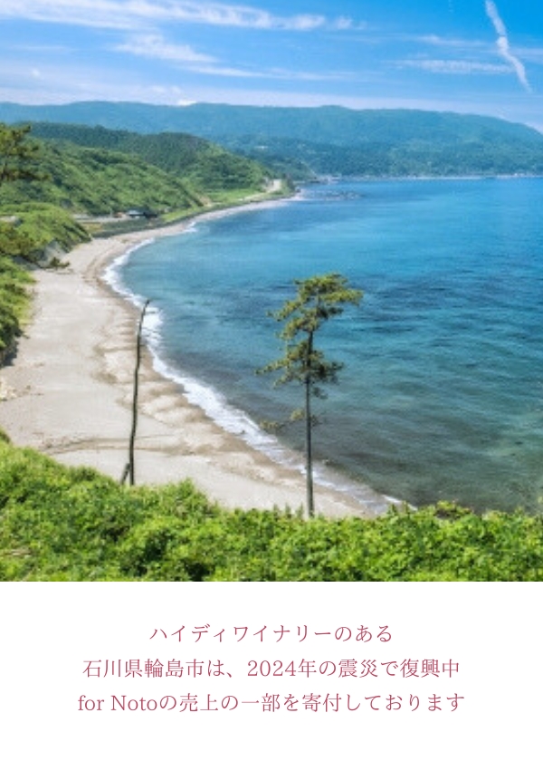 for Noto 2024 フルボトル