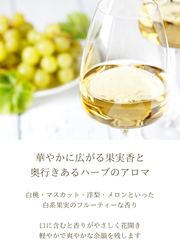 ハイディワイナリー:千里アルバリーニョ2024