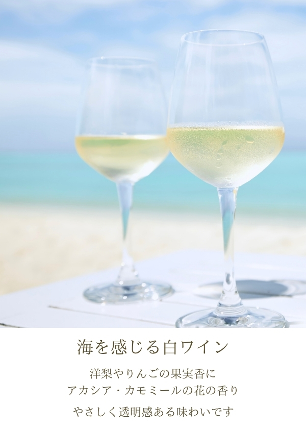 ハイディワイナリー:相承ブラン2024