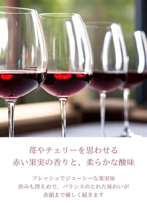 ハイディワイナリー:禅の里わいん【赤】